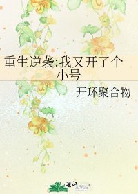 《重生逆袭:我又开了个小号》