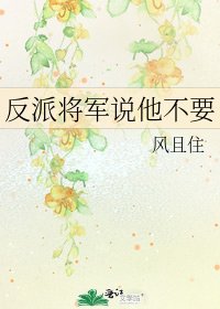 《反派将军说他不要》