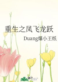 《重生之凤飞龙跃》
