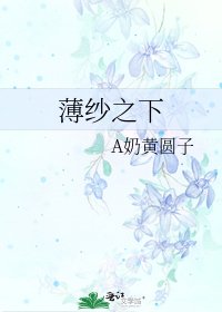《薄纱之下》