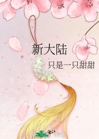 新大陆