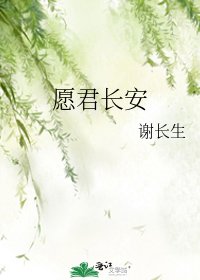 《愿君长安》