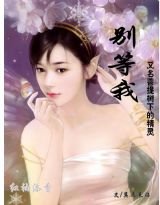 别等我（菩提树下的精灵）