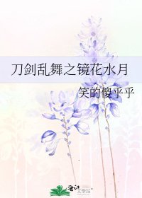 刀剑乱舞之镜花水月
