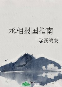 《丞相报国指南》