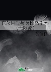 《克莱因瓶与莫比乌斯环(无限流)》