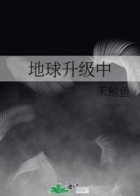地球升级中