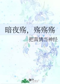 《暗夜殇,殇殇殇》