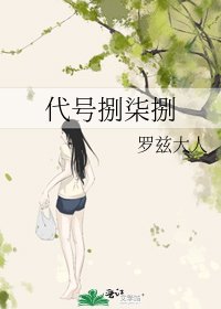 代号捌柒捌