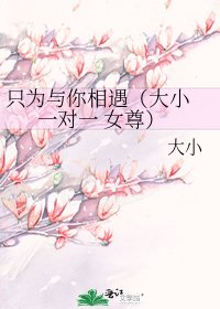 只为与你相遇（大小 一对一 女尊）