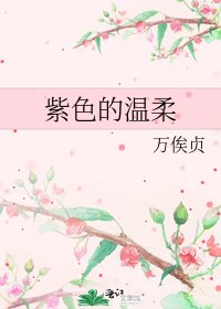 《紫色的温柔》