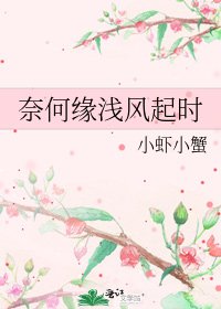 《奈何缘浅风起时》