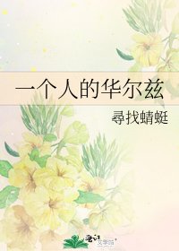 一个人的华尔兹