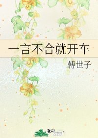 一言不合就开车