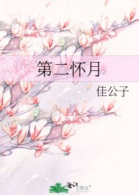 第二怀月
