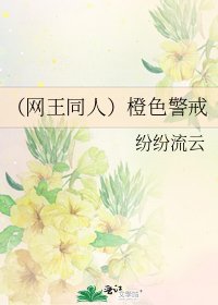 《(网王同人)橙色警戒》