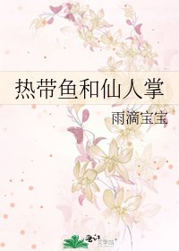 热带鱼和仙人掌