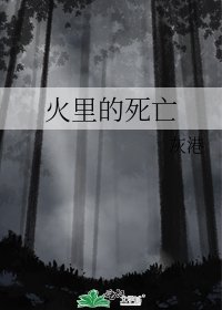 《火里的死亡》