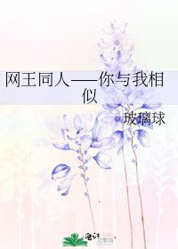 《网王同人——你与我相似》