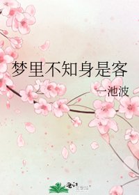 《梦里不知身是客》