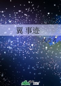 翼 事迹