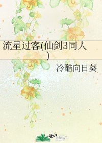 《流星过客(仙剑3同人)》