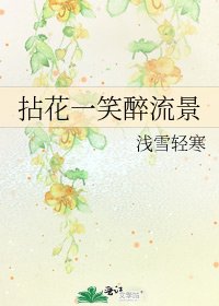 《拈花一笑醉流景》