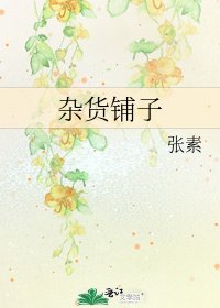 《杂货铺子》