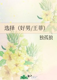 《选择(好男/王菲)》