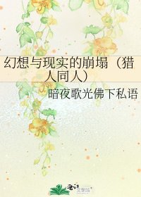 幻想与现实的崩塌（猎人同人）