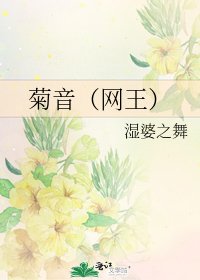 《菊音(网王)》