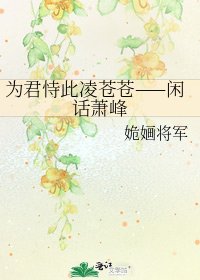《为君恃此凌苍苍——闲话萧峰》