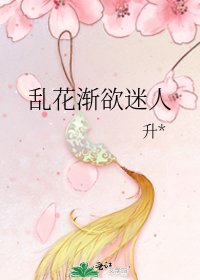 《乱花渐欲迷人》