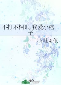 《不打不相识,我爱小痞子》