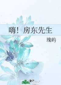 《嗨!房东先生》