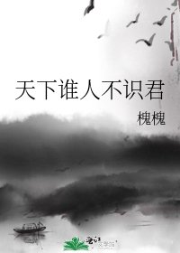 《天下谁人不识君》