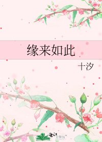 《缘来如此》