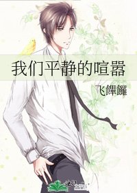 我们平静的喧嚣