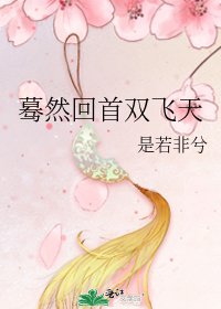 蓦然回首双飞天