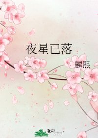 《夜星已落》