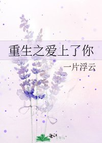 《重生之爱上了你》