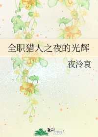 《全职猎人之夜的光辉》