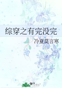 《综穿之有完没完》