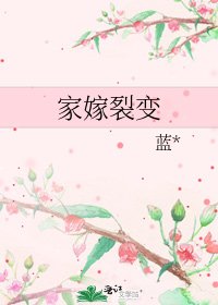 《家嫁裂变》