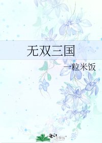 《无双三国》