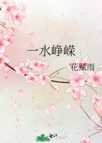 《一水峥嵘》