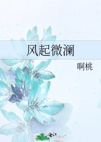 《风起微澜》