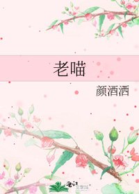 老喵