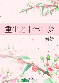 《重生之十年一梦》