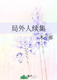 《局外人续集》